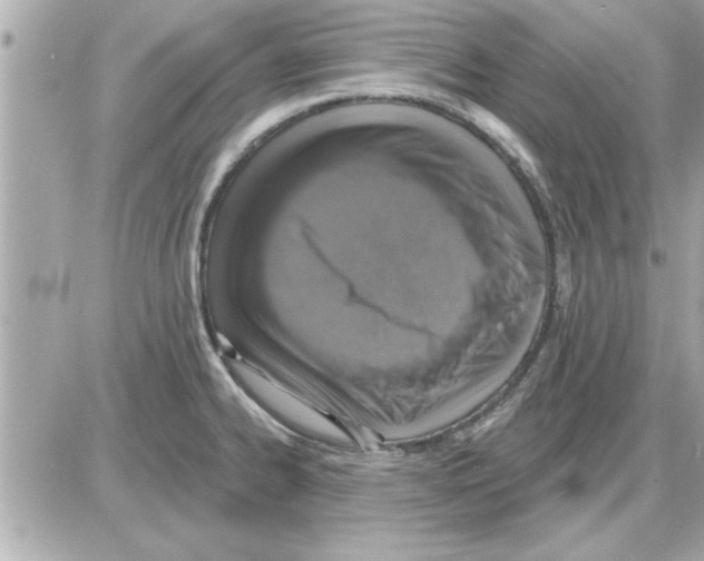 X0000085261334200704092104