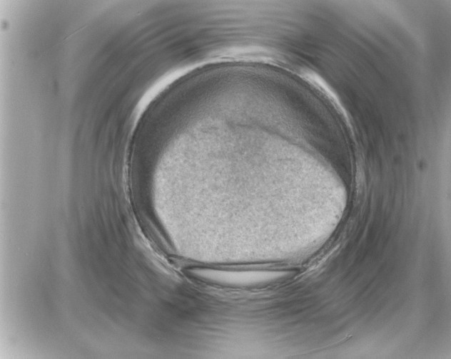 X0000085261336200704092104