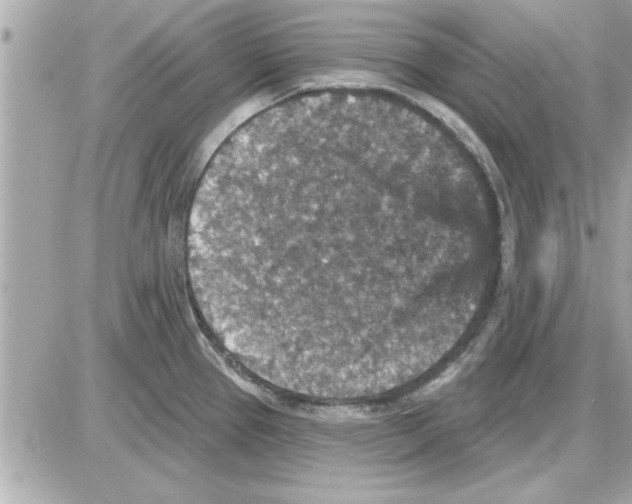 X0000085261337200704092104