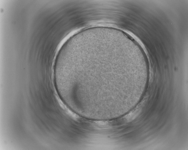 X0000085261341200704092105