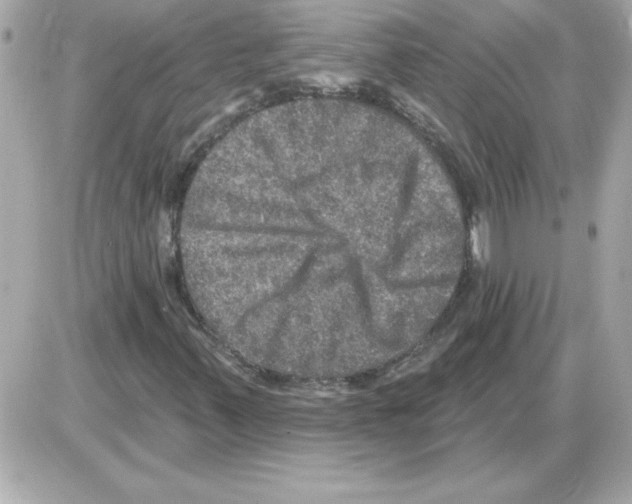 X0000085261347200704092104