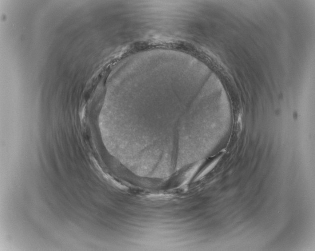 X0000085261348200704092104