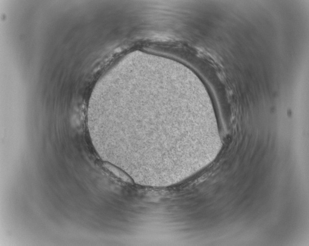 X0000085261349200704092104