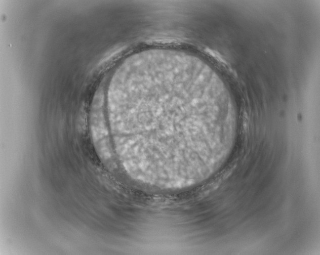 X0000085261350200704092104