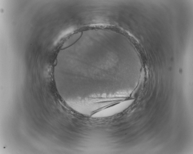 X0000085261351200704092104