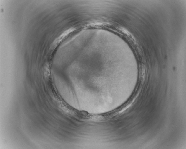 X0000085261353200704092104