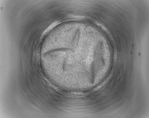 X0000085261354200704092104