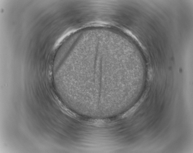 X0000085261355200704092104