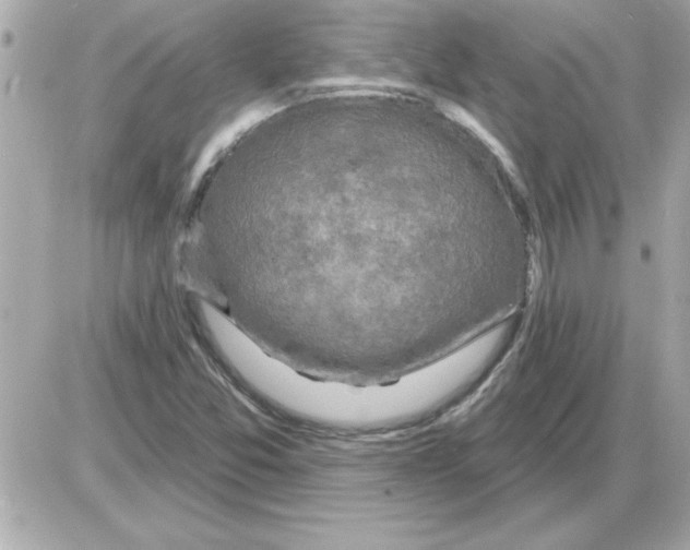 X0000085261357200704092104