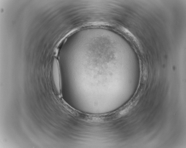 X0000085261361200704092104