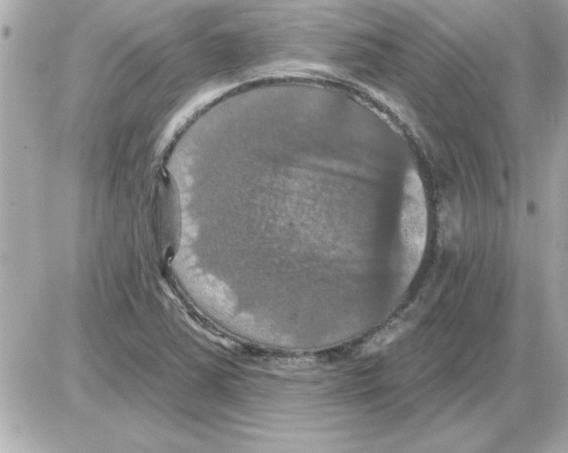 X0000085261363200704092103