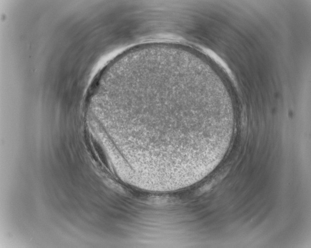 X0000085261364200704092103