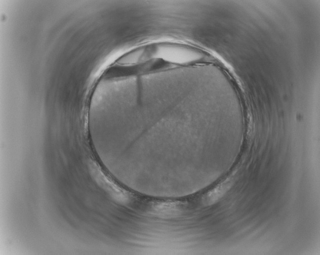 X0000085261367200704092103