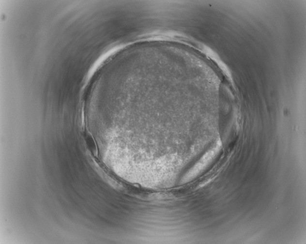 X0000085261368200704092103