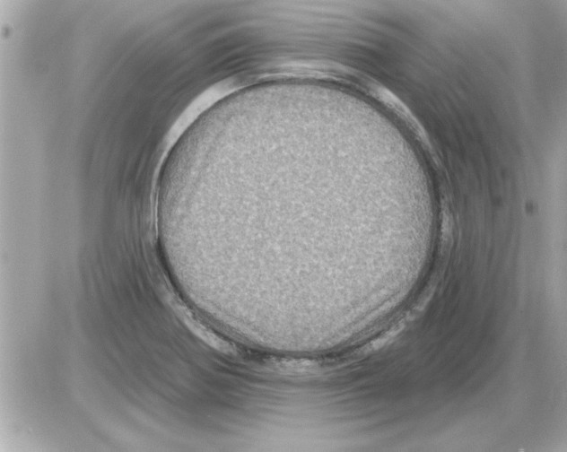 X0000085261370200704092103