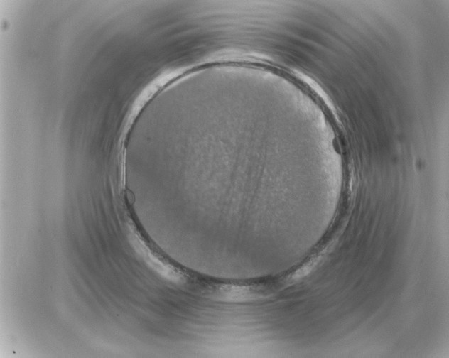 X0000085261371200704092103