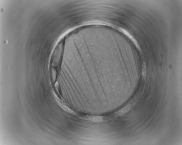 X0000085261372200704092103