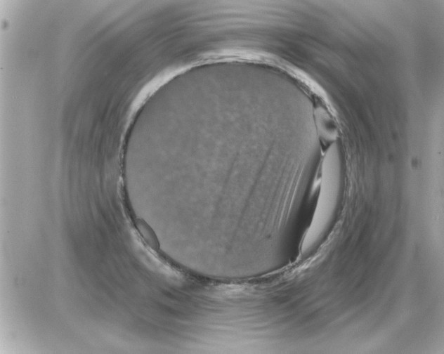 X0000085261373200704092103