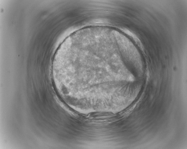 X0000085261374200704092103