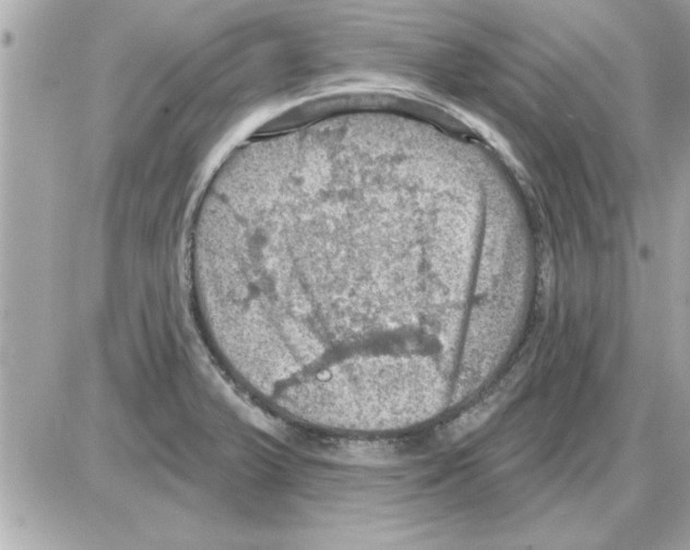 X0000085261375200704092103