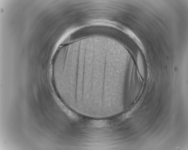 X0000085261376200704092103