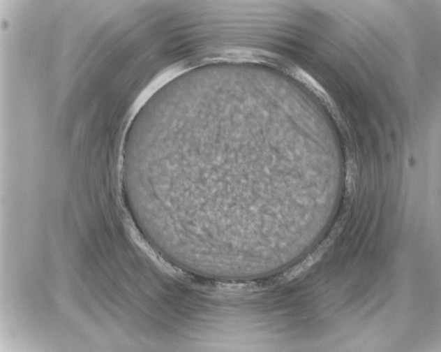 X0000085261378200704092103