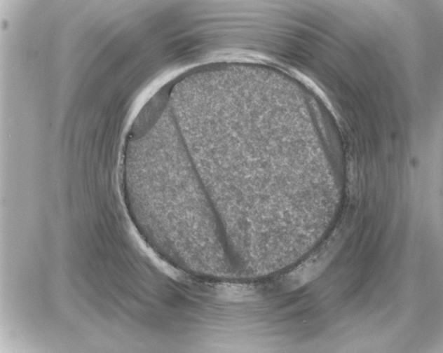 X0000085261379200704092103