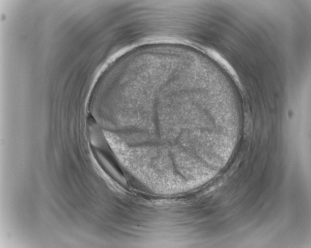 X0000085261380200704092103