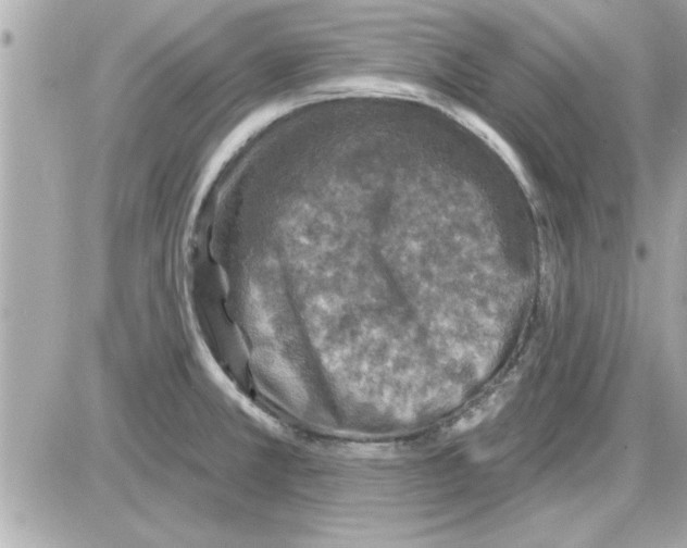 X0000085261381200704092103