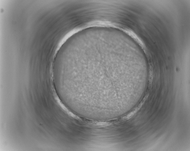 X0000085261382200704092103