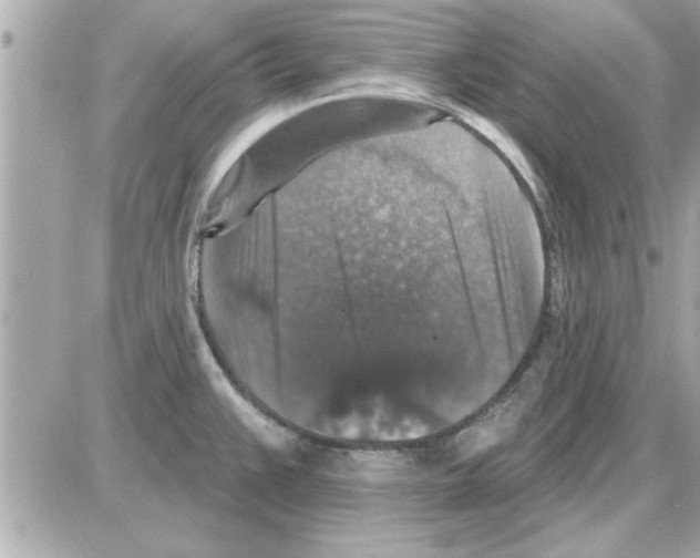 X0000085261383200704092103