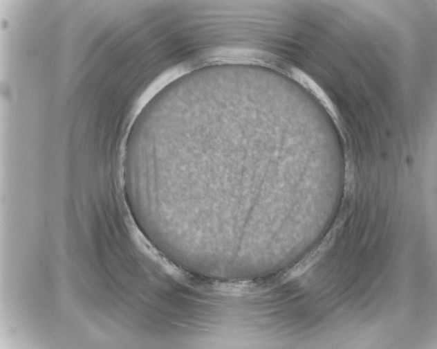 X0000085261386200704092103