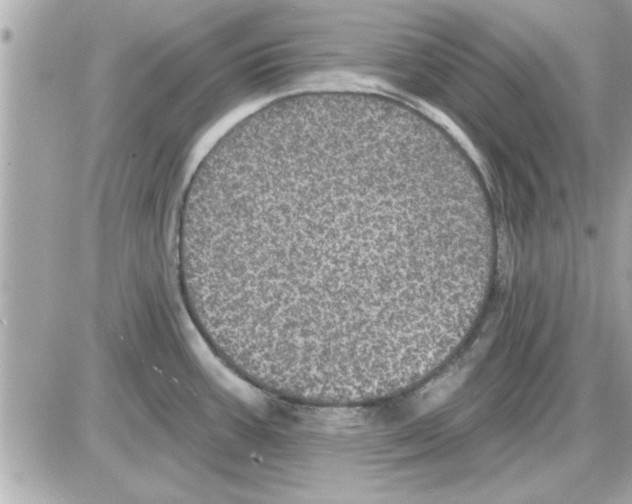 X0000085261387200704092103