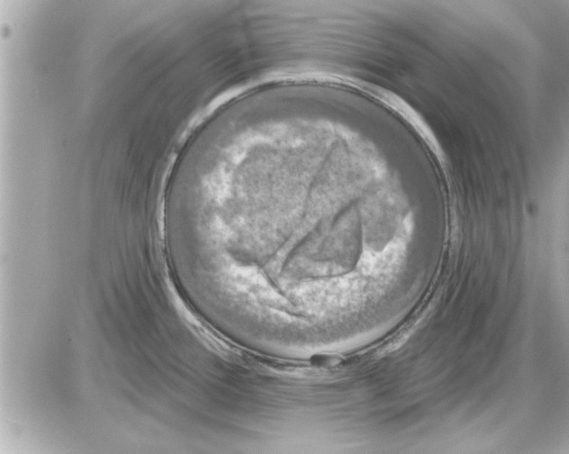 X0000085261388200704092103