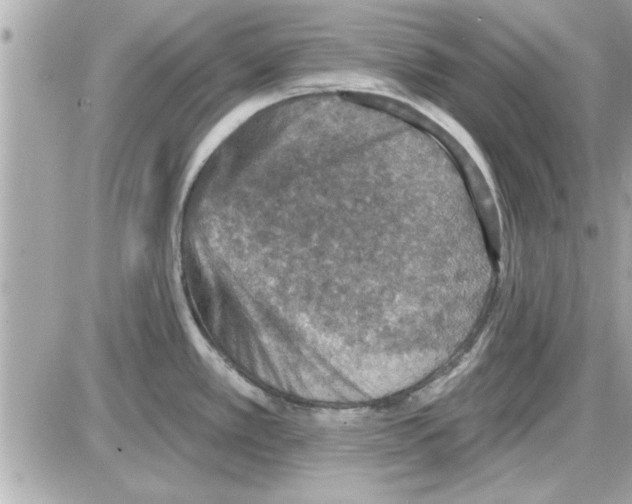 X0000085261389200704092103