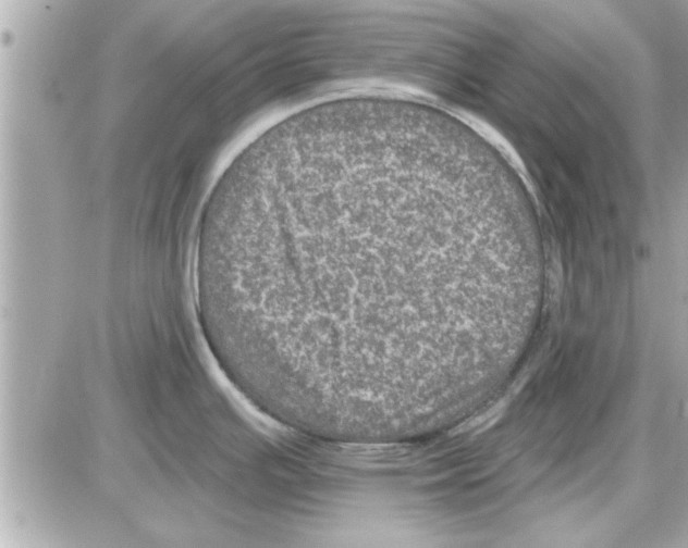 X0000085261391200704092103