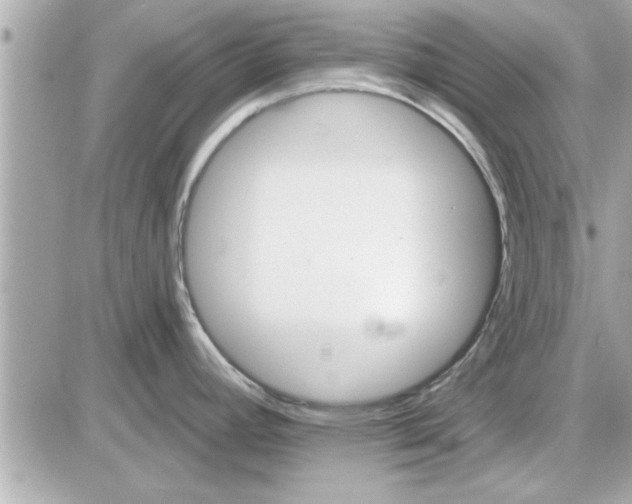 X0000085261392200704092103