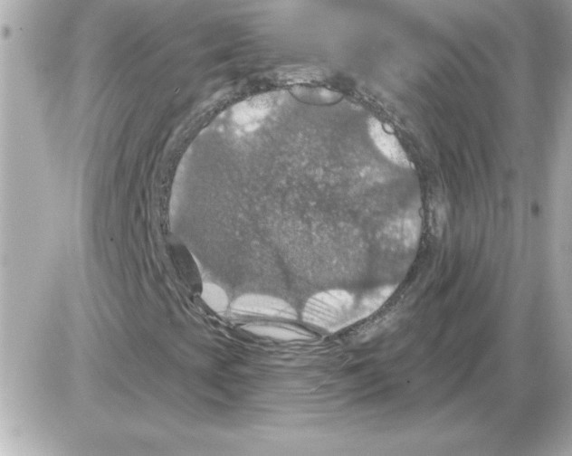 X0000085261393200704092102