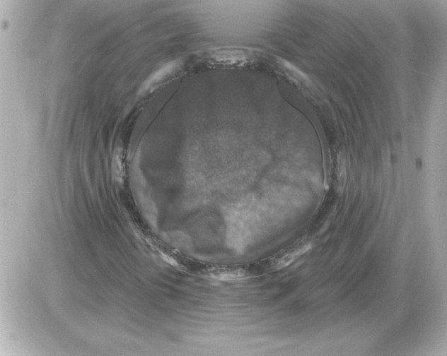 X0000085261394200704092102