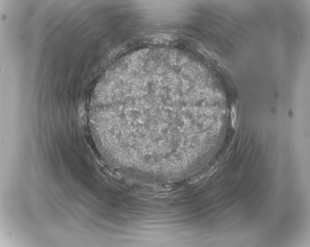 X0000085261395200704092102