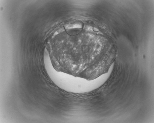 X0000085261397200704092102