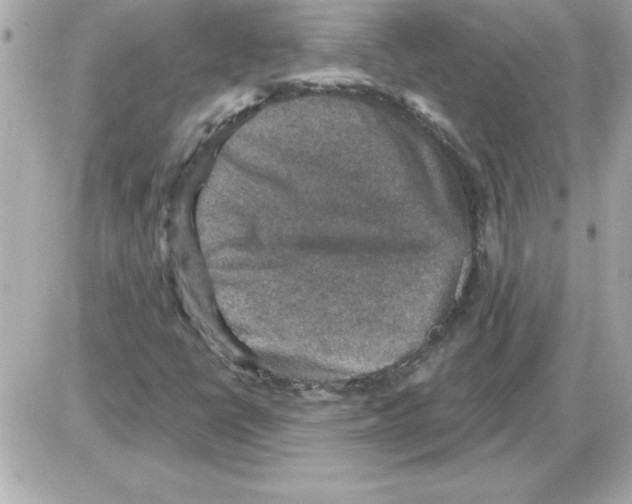 X0000085261398200704092102