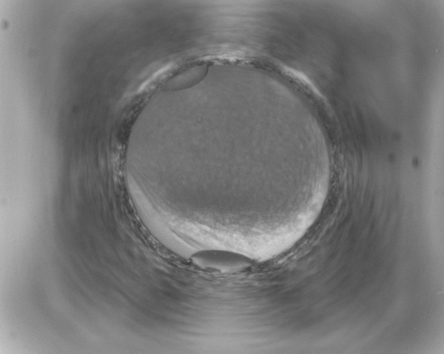 X0000085261399200704092102