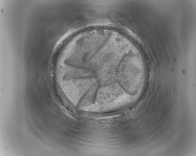 X0000085261400200704092102