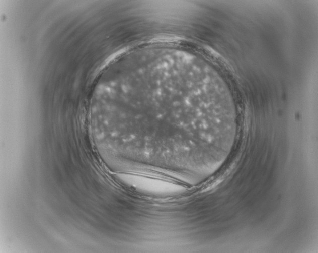 X0000085261401200704092102