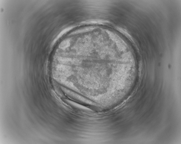 X0000085261404200704092102