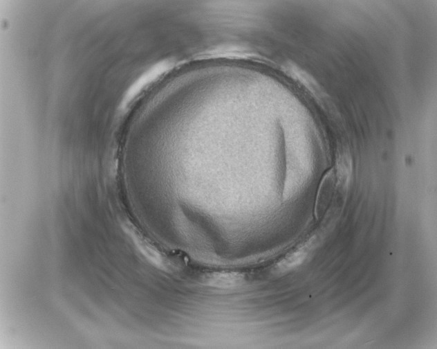 X0000085261406200704092102