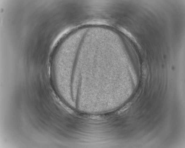 X0000085261408200704092102