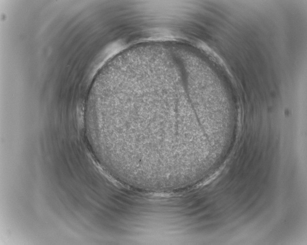 X0000085261409200704092102