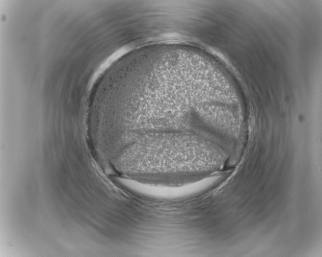 X0000085261410200704092102